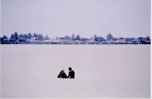 Μπάνιο καβάλα στ' άλoγο, στον ποταμό Σενεγάλη